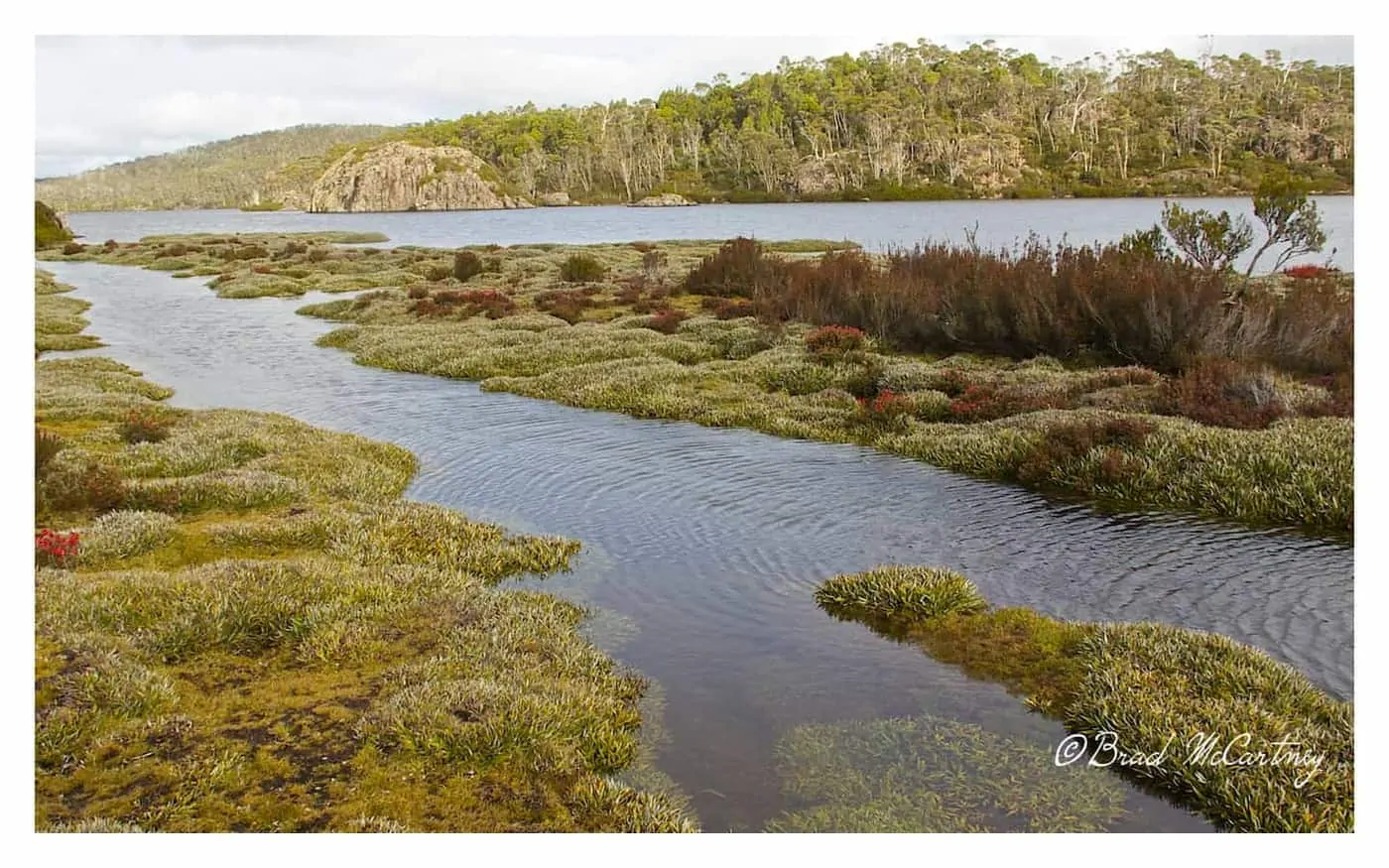 Junction Lakes track