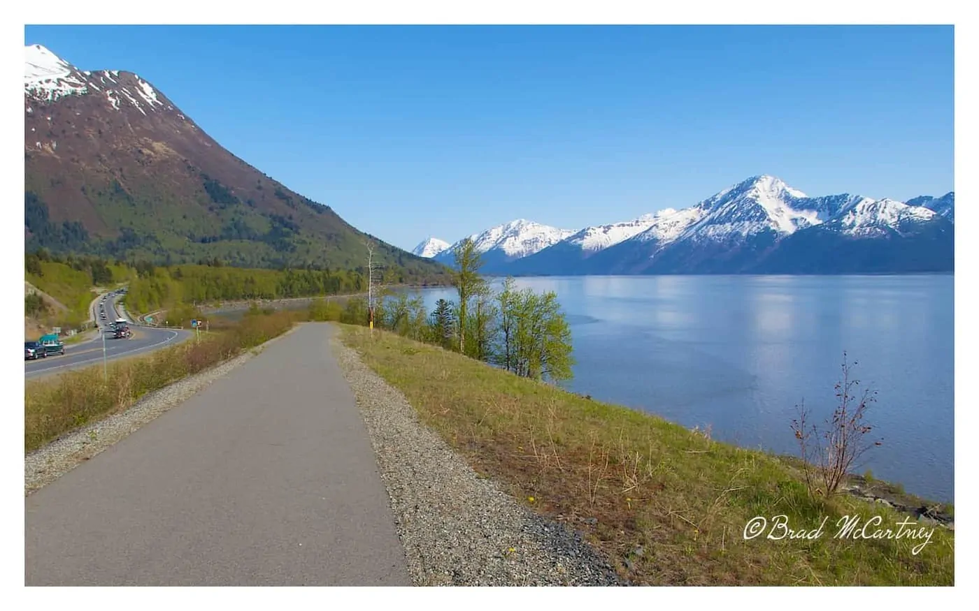 Cycle path next to the Seward Hwy near my campsite for the first night