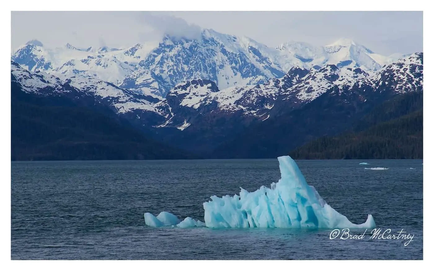 Prince William Sound