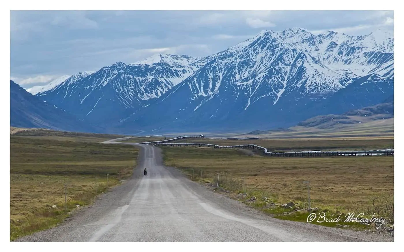 Cycling the Dalton Highway