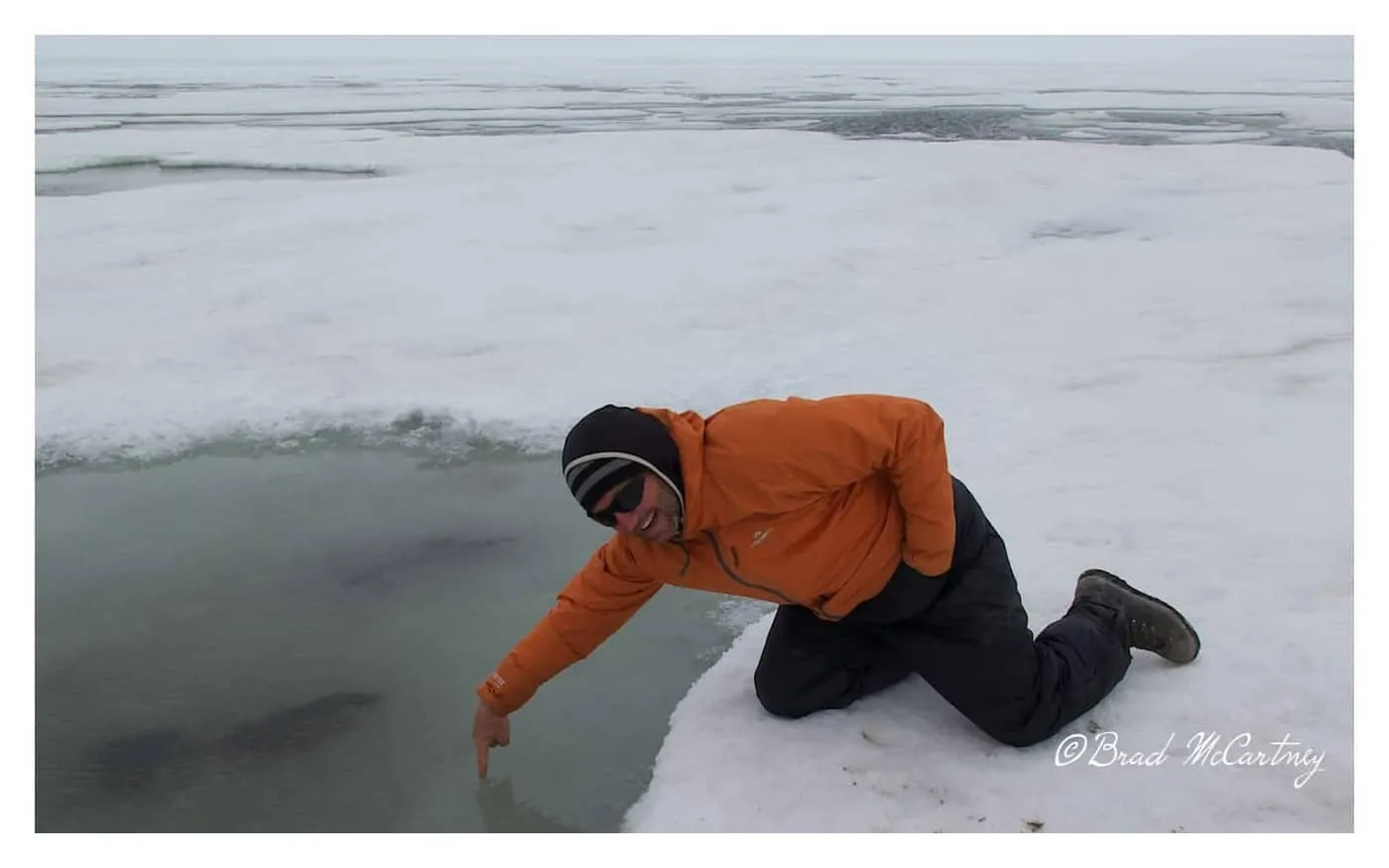 beaufort sea is frozen near Prudhoe Bay