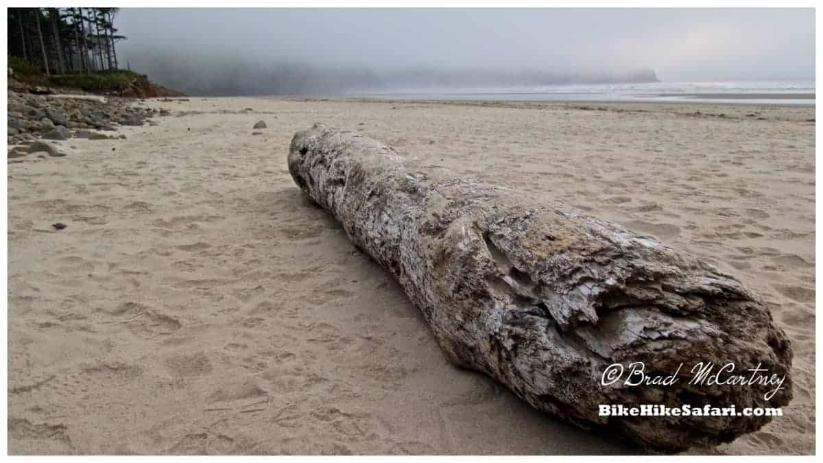 Rolling fog at sunset on Cape Lookout Beach