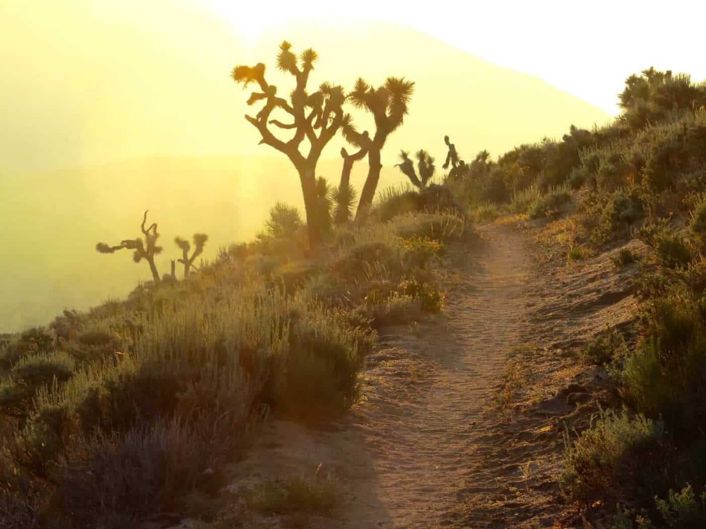 Pacific Crest trail