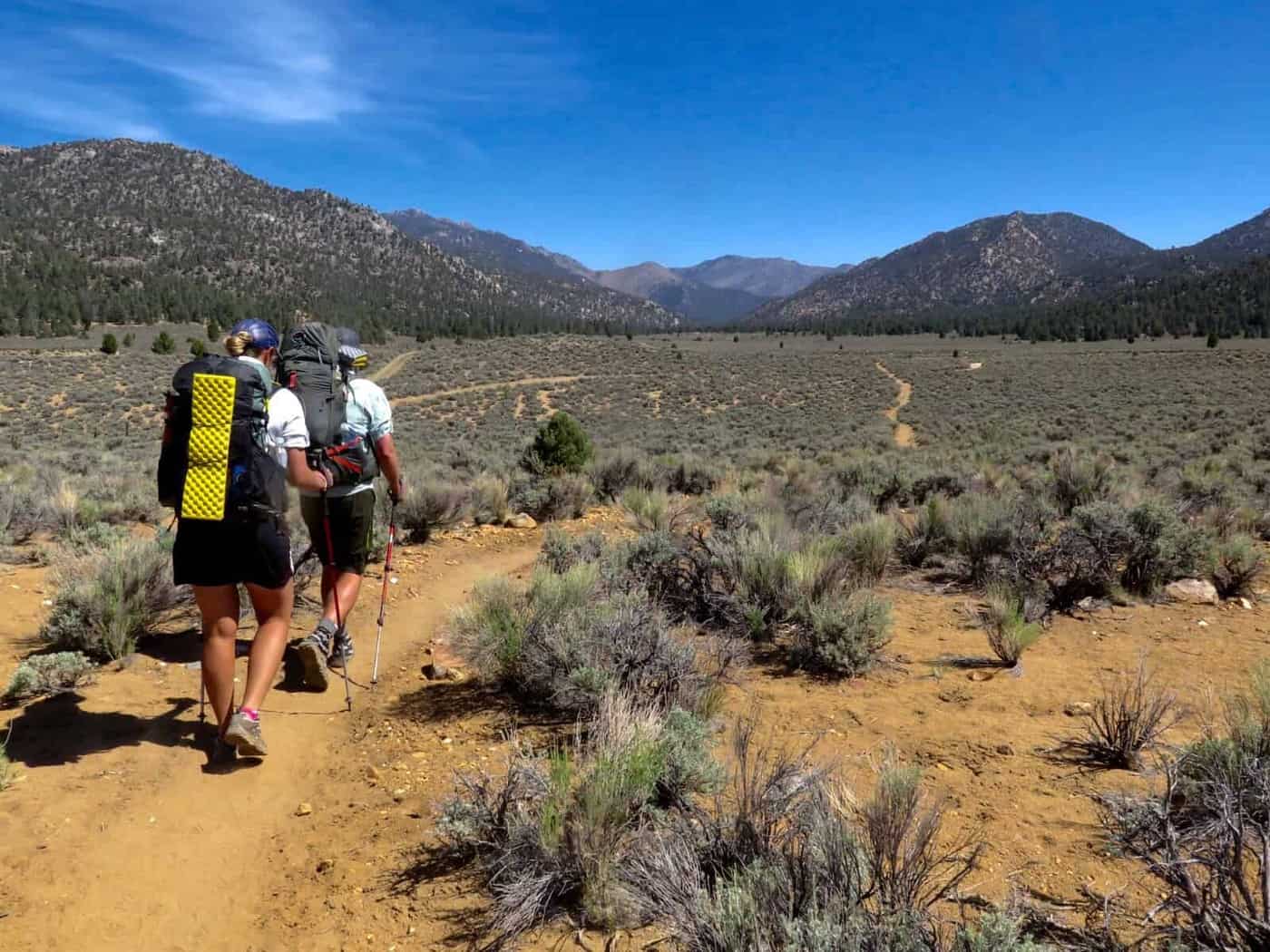 Into the Sierras