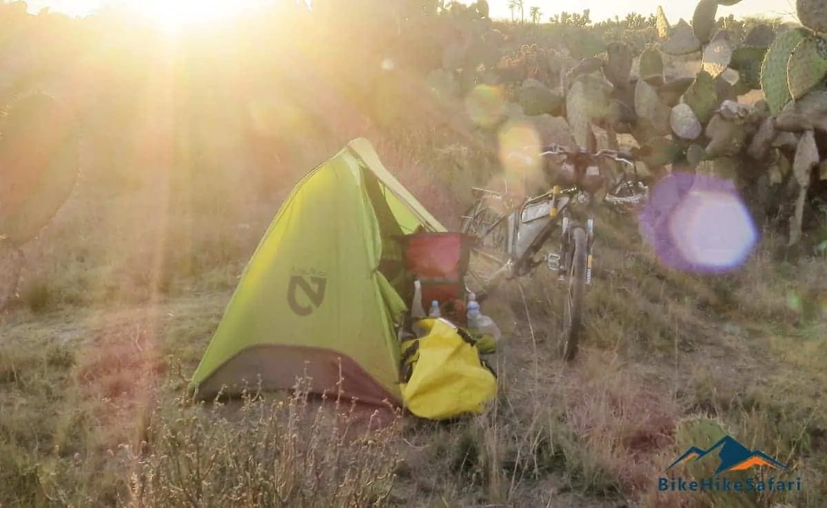 cactus camping