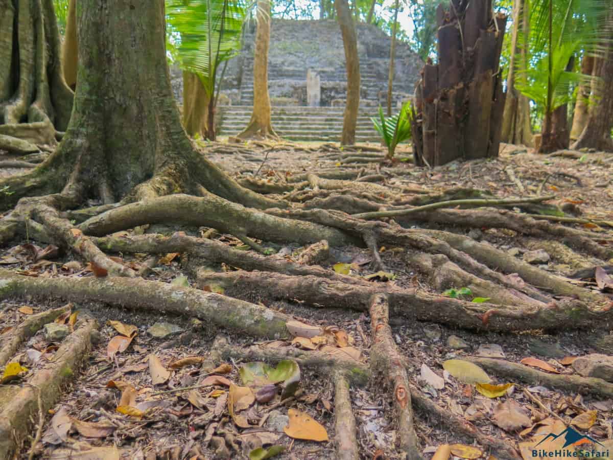 Lamanai Mayan Ruins Belize