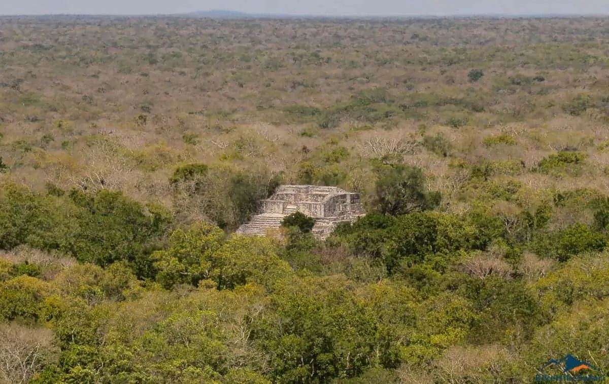 Calakmul Ruins