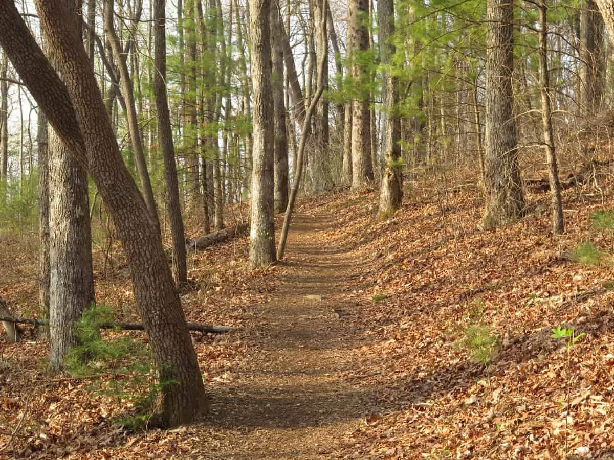 appalachian trail day 1