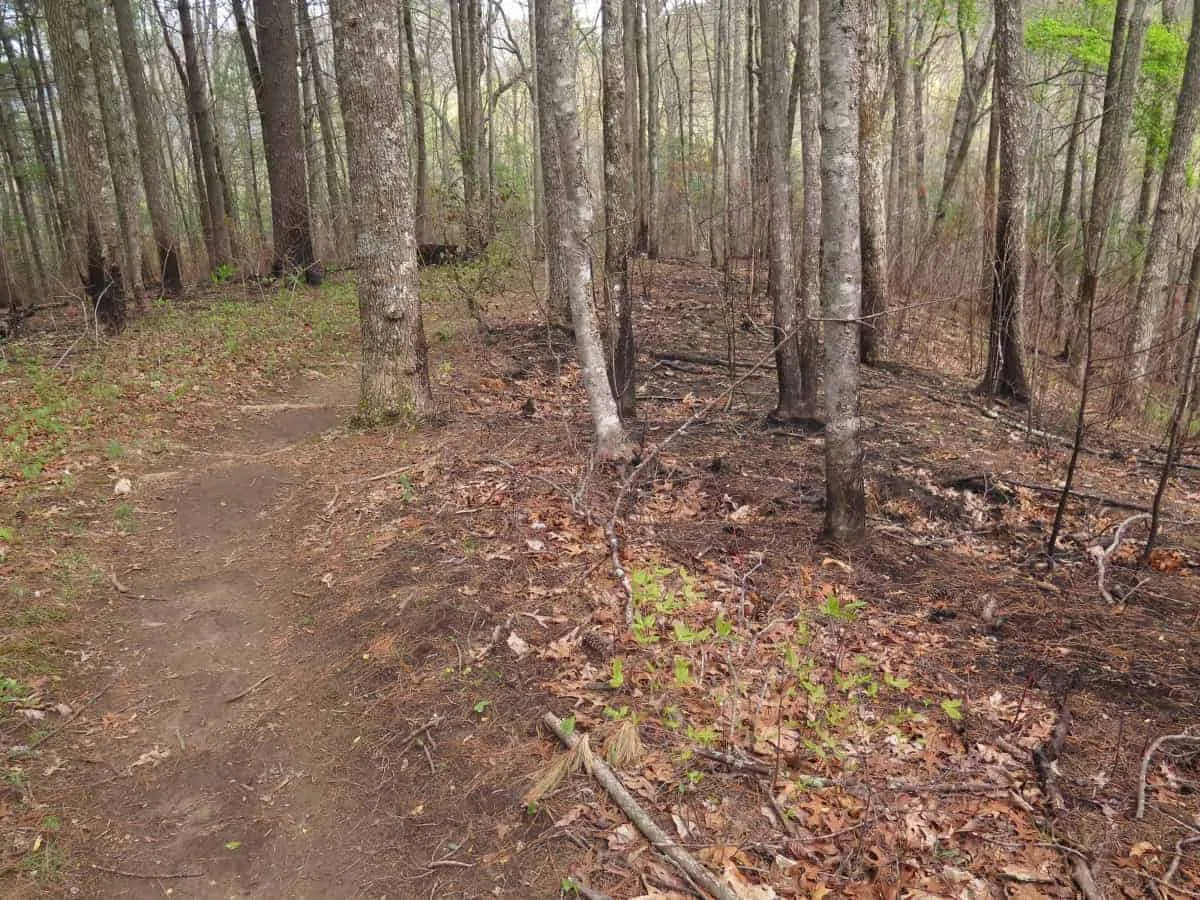 appalachian trail