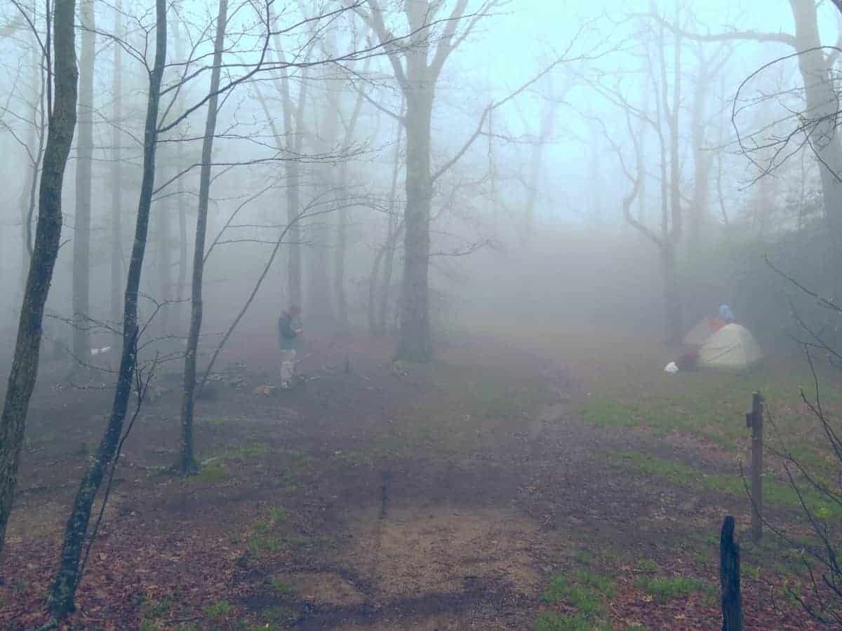 foggy camp