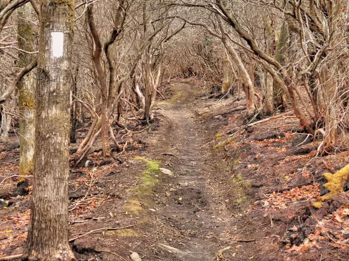 appalachian trail