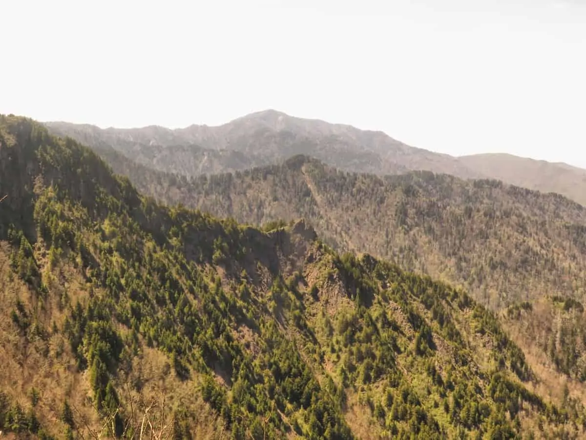 clingmans dome