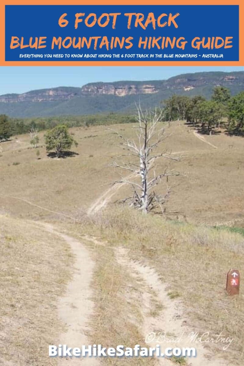6 foot track blue mountains hiking guide