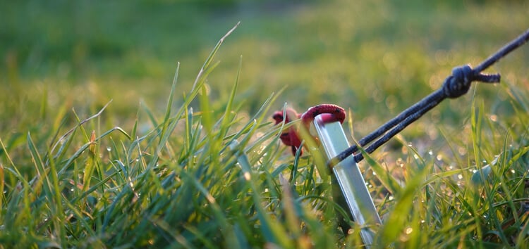 Tent pegs and poles being tested with ultralight tents