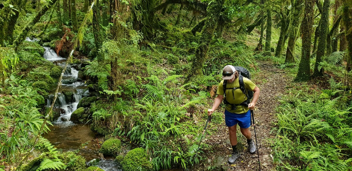 Best Trail Runners for Thru Hiking [2024] BikeHikeSafari